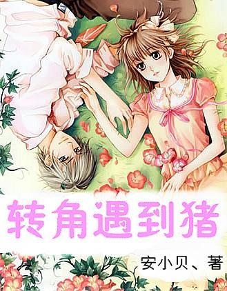 逝去的过往是哪首歌的歌词？游戏画面